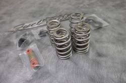 Ward Performance - Ward Performance .660 lift valve spring kit 5/16 valves Twin Cam