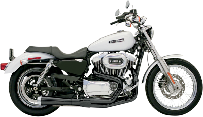 Bassani Xhaust - Bassani Xhaust Road Rage 2 into 1 Systems - EXHAUST RR2-1UP86-03XL BK