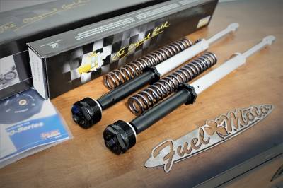 Ohlins - Ohlins NIX 22 Fork Cartridge Kit with Springs - 2017-Later Harley Touring