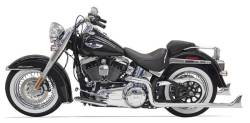 Bassani Xhaust - True Dual Fishtails