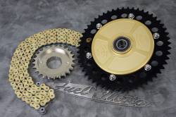 Fuel Moto - Fuel Moto Chain Drive Conversion 09-later Harley FLH Touring - Image 2