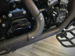 Jackpot - Carbon Fiber Mini Exhaust Shields - Image 2